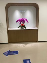 -丰联丽格医疗美容·联合丽格眼整形中心