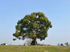 -良渚古城遗址公园