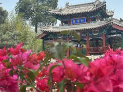 -红螺寺