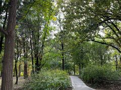 -国家植物园南园