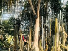 -南山植物园