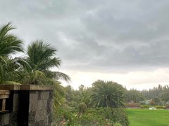 -海南清水湾莱佛士酒店