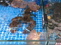 -1910老鲁味海鲜·戳子肉·青岛菜(金沙滩店)