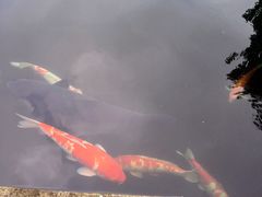 -湖鲜楼