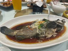 -双井轩(双井店)