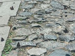 -紫金山天文台