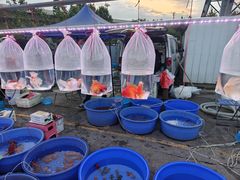 -中环花鸟鱼虫市场