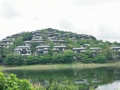 -呀诺达热带雨林