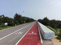 -日照海滨国家森林公园