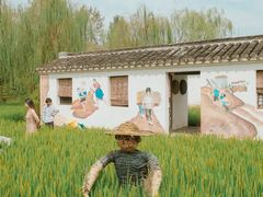 -溱湖国家湿地公园