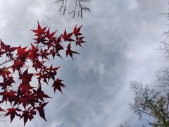 -崂山巨峰游览区