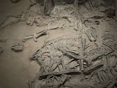 -北京大葆台遗址博物馆