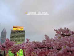 -城市露台景观餐厅(淮海路店)