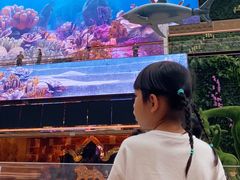 -视博茶点(美狮美高梅店)