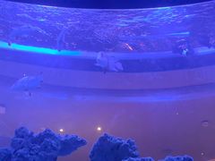 -上和臻品中国菜(花园街店)