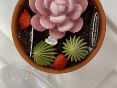 -哈根达斯(宁波和义店)