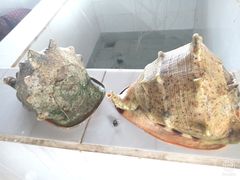 -海盗餐厅