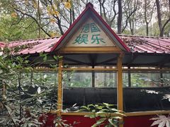 游乐设施-上海共青森林公园