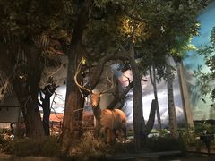 景点-中国湿地博物馆