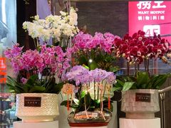 -豆豆花艺(新光天地店)