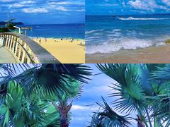 -大梅沙海滨公园