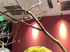-麻路成都火锅(柏威年店)