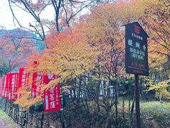 -醍醐寺