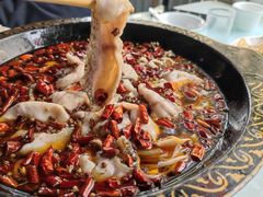 -金三可市井水煮鱼(金碧园店)