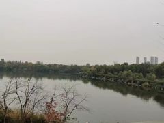 -西安浐灞国家湿地公园