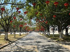 -厦门大学(思明校区)