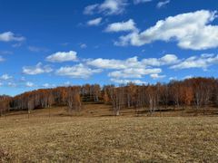 -塞罕坝国家级自然保护区