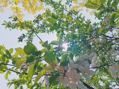 -东郊湿地公园