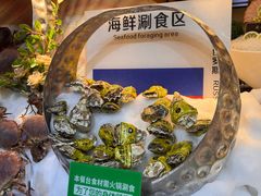 -亚马逊蒸汽活海鲜自助(LCM置汇旭辉广场店)