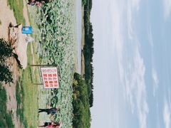 -丁香湖公园