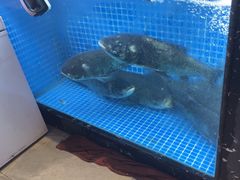 -川流不息·地道川菜·小龙虾(新松江路店)