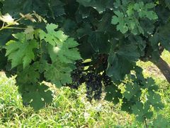 -北京天湖会议中心