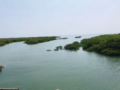-北海金海湾红树林生态旅游区