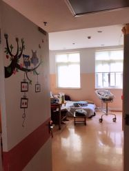 -复旦大学附属妇产科医院(黄浦院区)