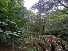 -东庐山观音寺