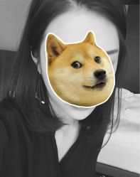 -崇尚GAVIN STYLE