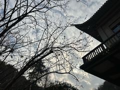 -浙江宾馆·花园餐厅·自助餐厅·茶吧