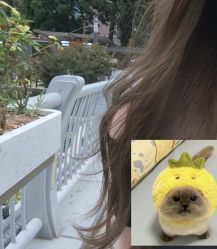 -吉米护肤造型