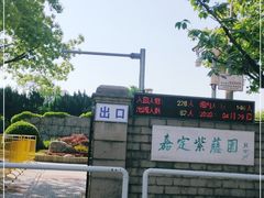 -嘉定紫藤园