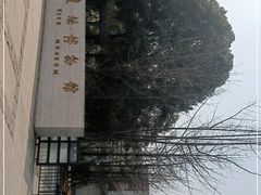 -金沙遗址博物馆