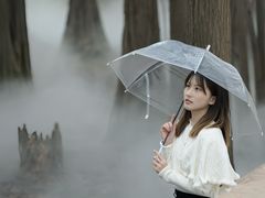 -东湖落雁景区