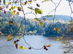 -庐山风景区花径公园