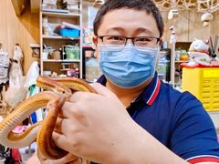 -藦茜花园宠物主题亲子互动体验馆(国顺东路店)