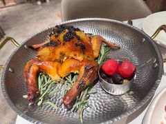 -一棵树·意大利西餐厅One Tree(新城店)