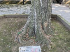-龙王庙行宫