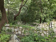 -北京鹫峰国家森林公园